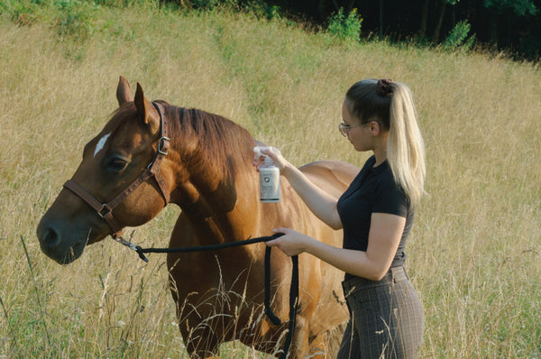 Horse Protection Spray (500ml)